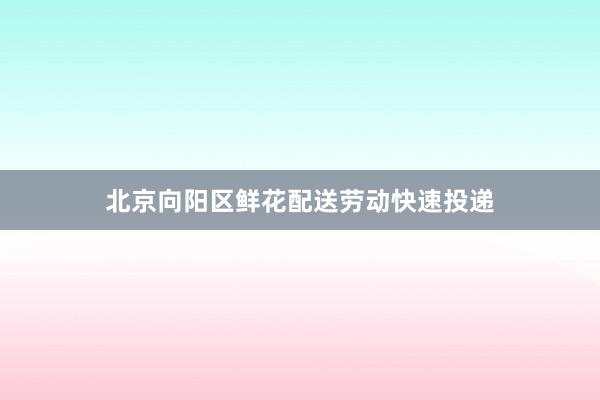 北京向阳区鲜花配送劳动快速投递