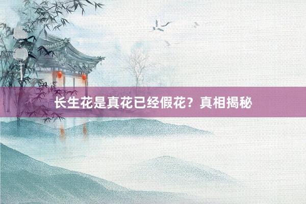 长生花是真花已经假花？真相揭秘