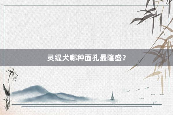 灵缇犬哪种面孔最隆盛？