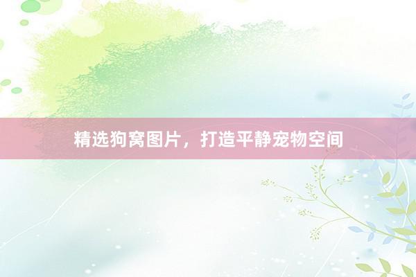 精选狗窝图片，打造平静宠物空间
