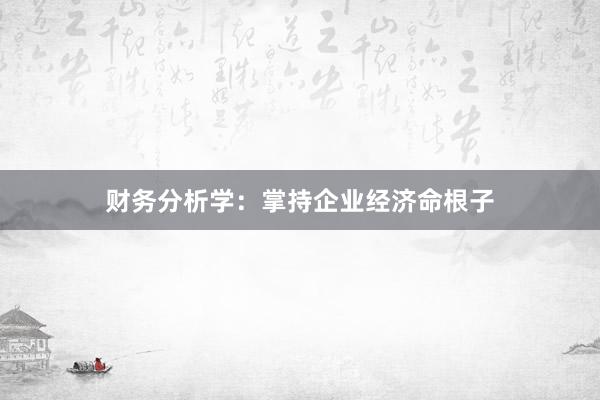 财务分析学:掌持企业经济命根子